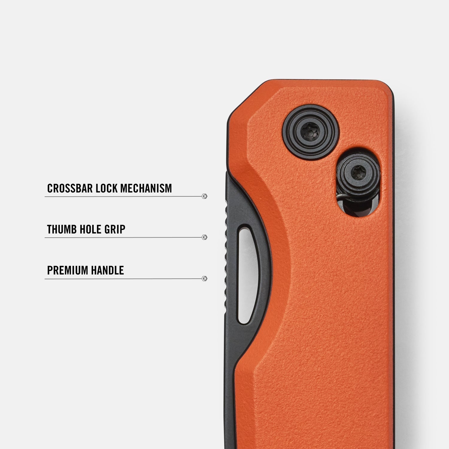 Everyday Folder - Traditional Flash - Color
